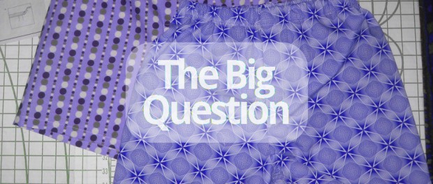 The Big Question boxers