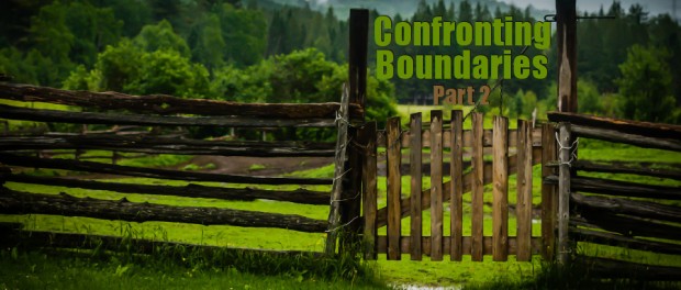 Confronting Boundaries - Part 2 a gate in a wooden fence