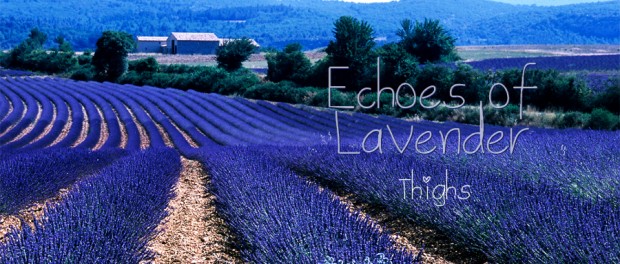 Echoes of Lavender - 4. Thighs fields of lavender