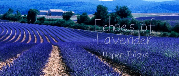 Echoes of Lavender - 5. Upper Thighs fields of lavender