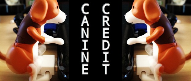 Doggystyle: Canine Credit usb humping dogs
