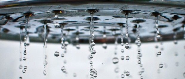 Shower Drips dripping showerhead