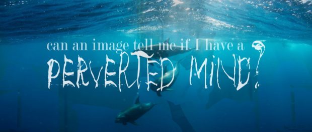 Can an image tell me if I have a perverted mind? dolphins swimming in the ocean